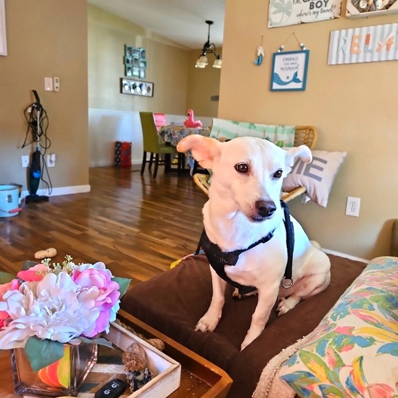 Hello I am Kim and Welcome to my Closet - Picture 10 of 16